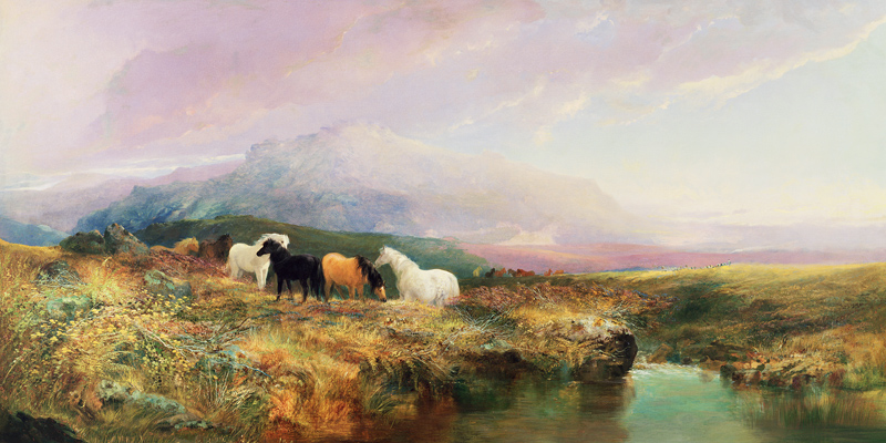 Ponies on Dartmoor von William Widgery