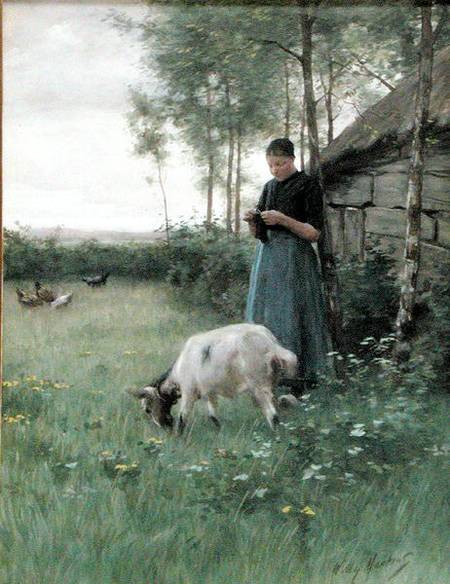 A Dutch girl with goat and chickens von Willy Martens