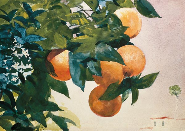 Ast mit Orangen von Winslow Homer