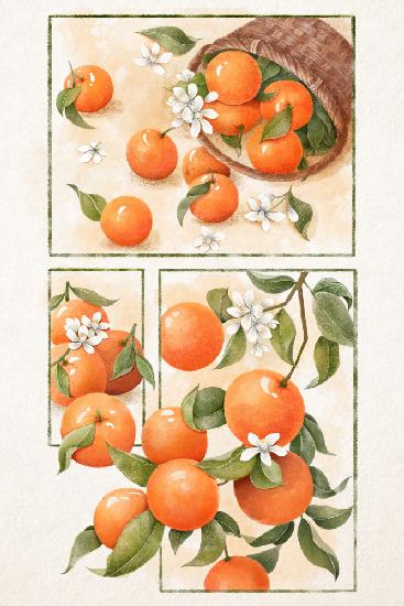 Orangenblüte