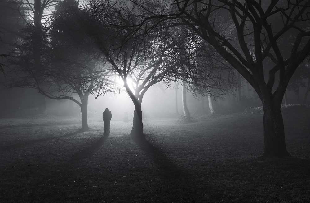 In a Land of Mist ! von Yavuz Pancareken
