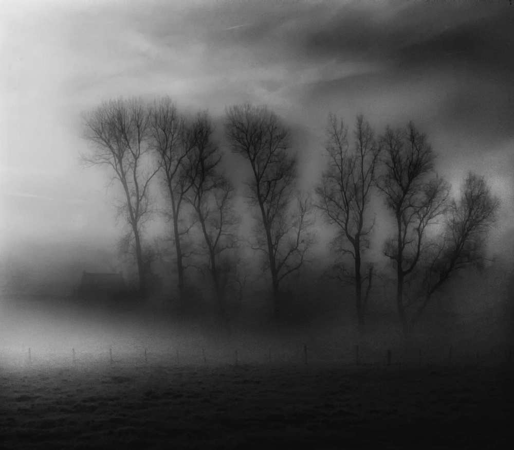 50 Shades of Fog von Yvette Depaepe