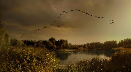 Der Herbst ist der Beweis dafür,dass Veränderung schön ist ...