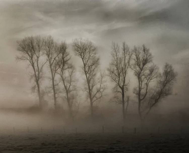 How nature hides the wrinkles of her antiquity under morning fog and dew von Yvette Depaepe